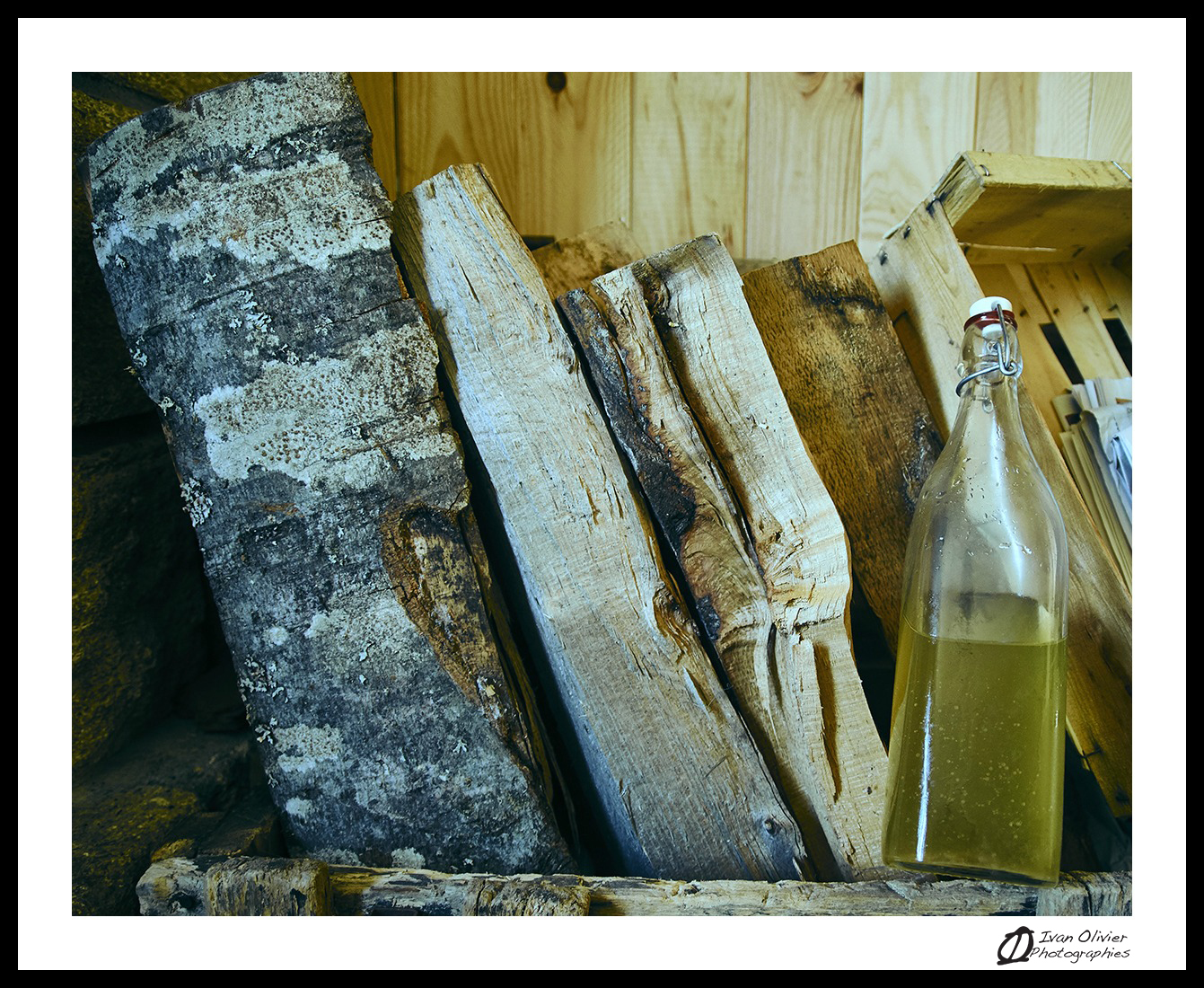 France - Kombucha © Ivan Olivier Photographie (1)