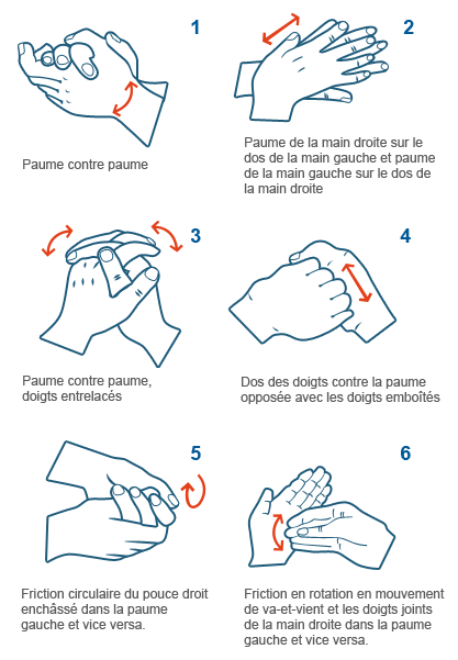 GC - schéma application gel hydroalcoolique - world alliance for patient safety
