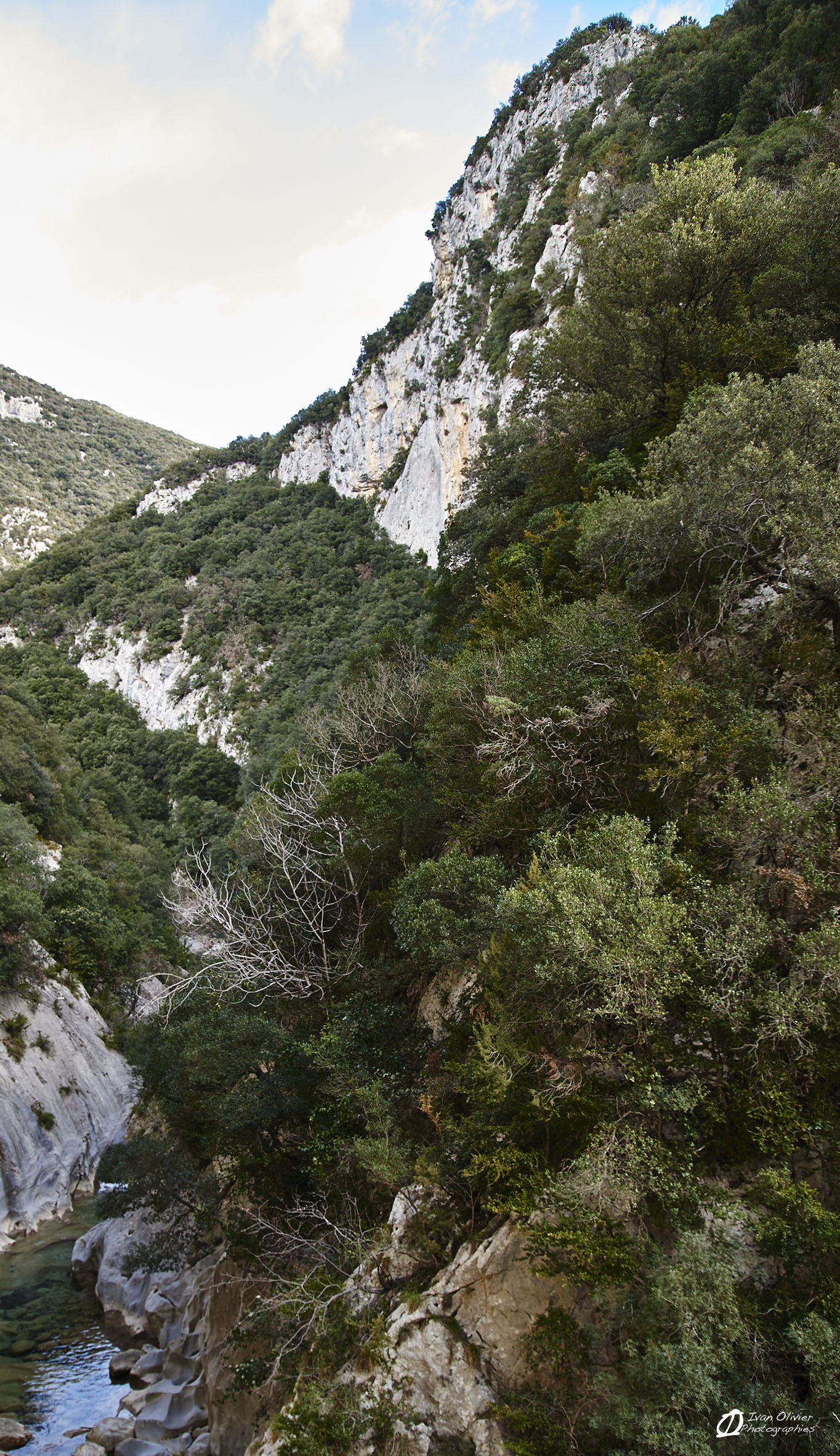 Espagne, Sadernes © Ivan Olivier Photographie (26)