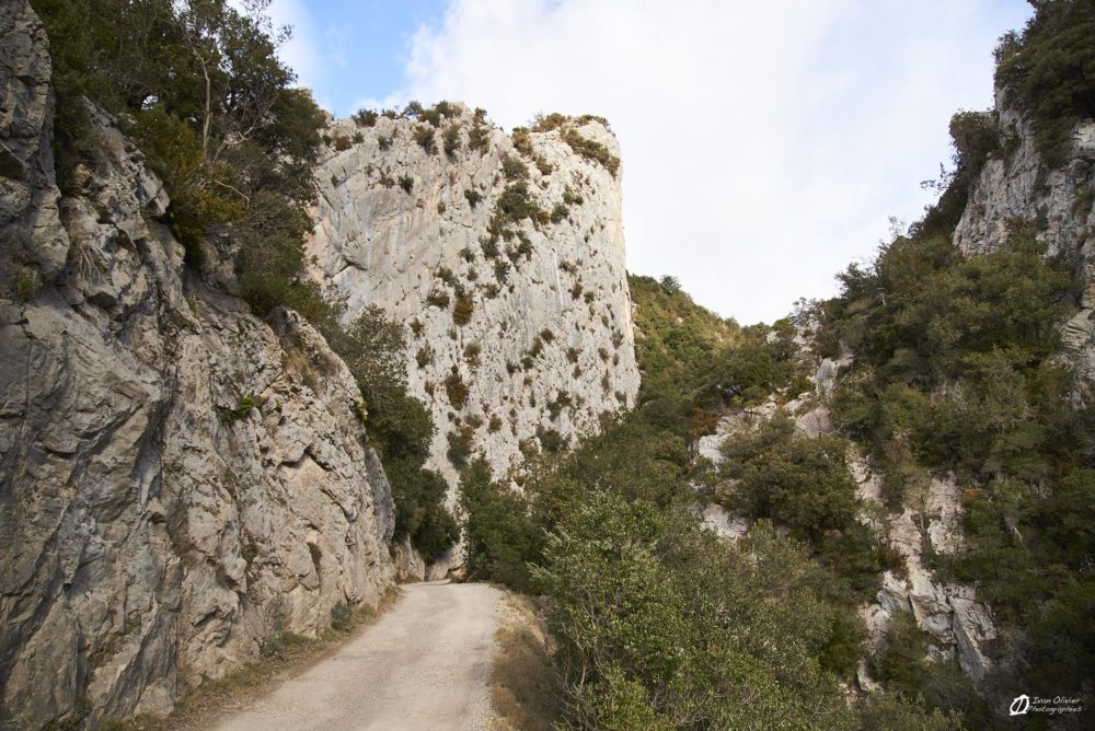 Espagne, Sadernes © Ivan Olivier Photographie (35)