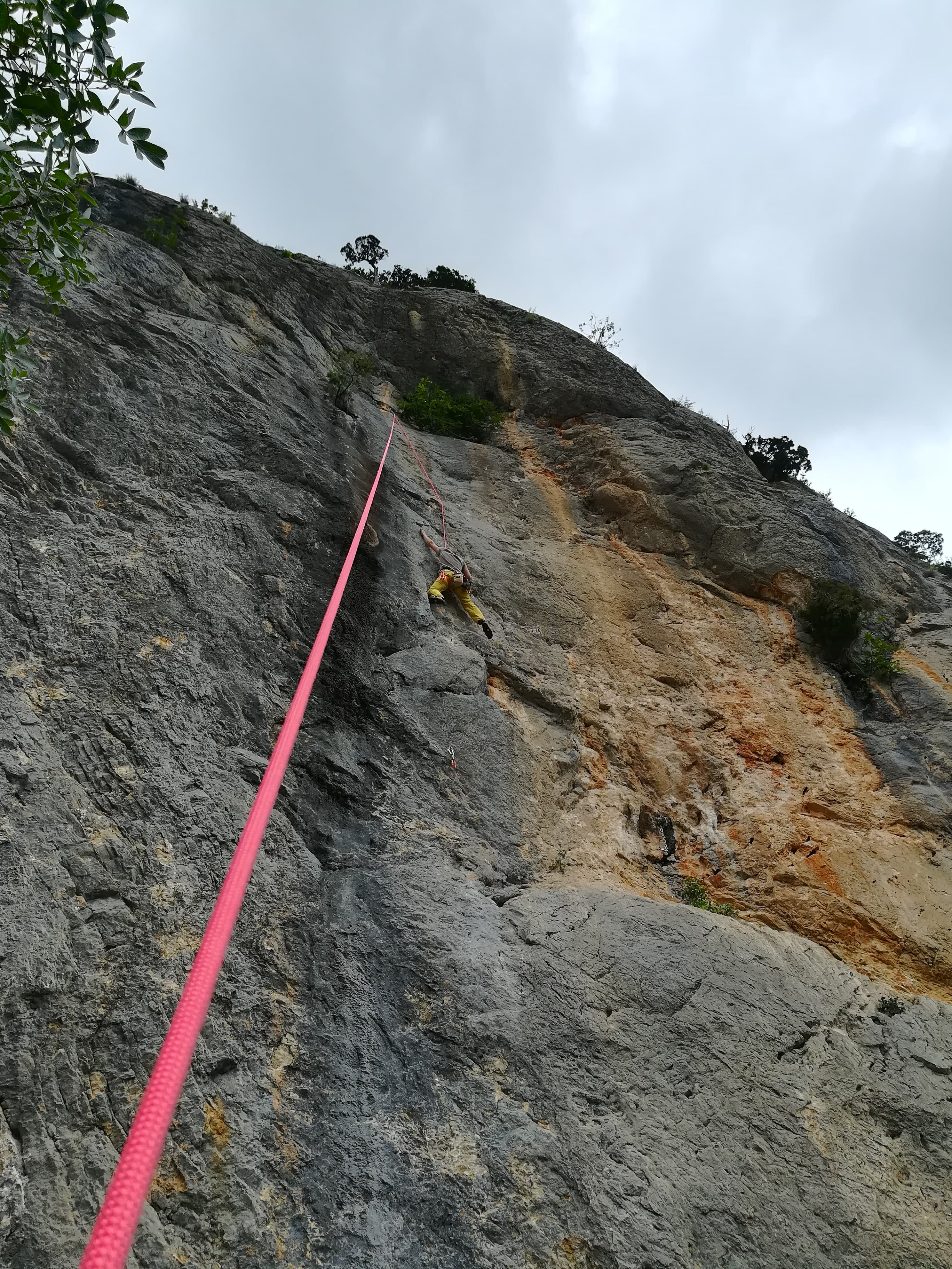 35132814_10216626720680062_5515634380623577088_n