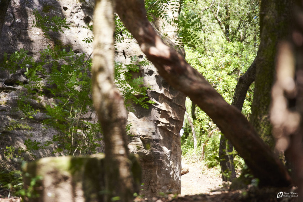 France - Blocs du Prieuré Lodève © Ivan Olivier Photographie (31)