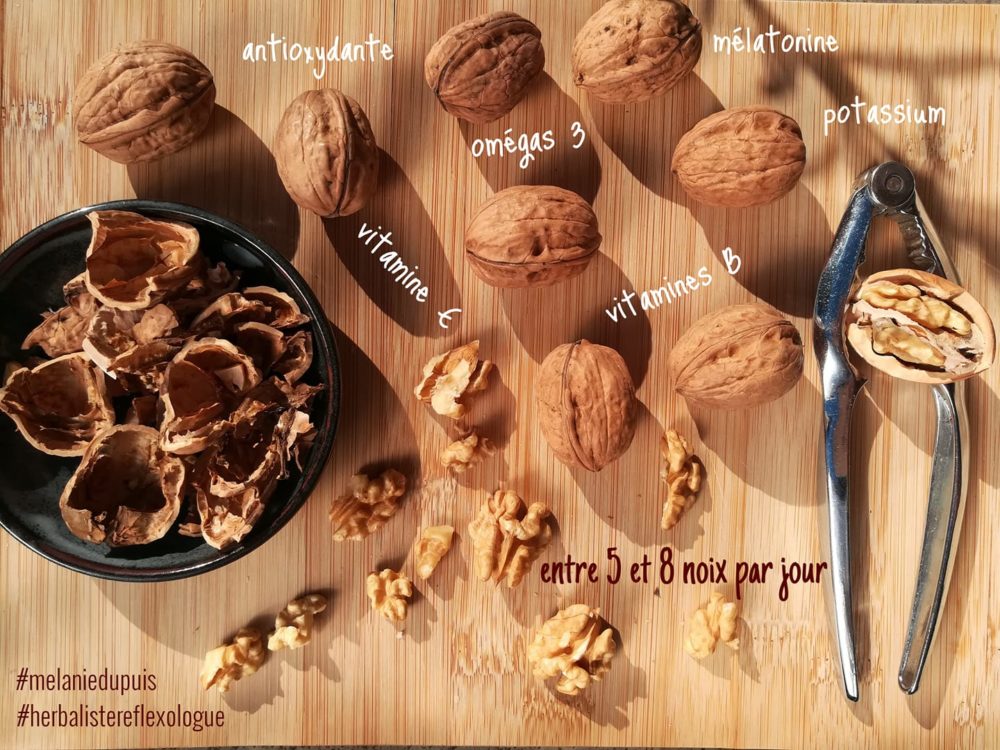 COMBO PHYTO NOIX: Elles ont la forme du cerveau et ce mimétisme très utilisé par nos anciens n'y est pas pour rien! ✅ Très antioxydantes ✅ Riches en omégas 3 ✅ en mélatonine ✅ en potassium ✅ et en vitamines B ✅ elles sont aussi une source de fibres et de nombreux nutriments. 😋Les noix sont donc délicieuses en goût mais elles sont aussi bonnes pour la santé de notre système vasculaire, apportent une satiété en cas de grignotage et apportent certains minéraux et oligo-éléments en bonne quantité.✨ Pensez aussi à elles en collation, vers 17h pour leur teneur en mélatonine pour un meilleur sommeil. 💤 💪 Et elles ne vous feront pas grossir si vous en mangez entre 5 et 8 par jour! Des études montrent même le contraire... 😉