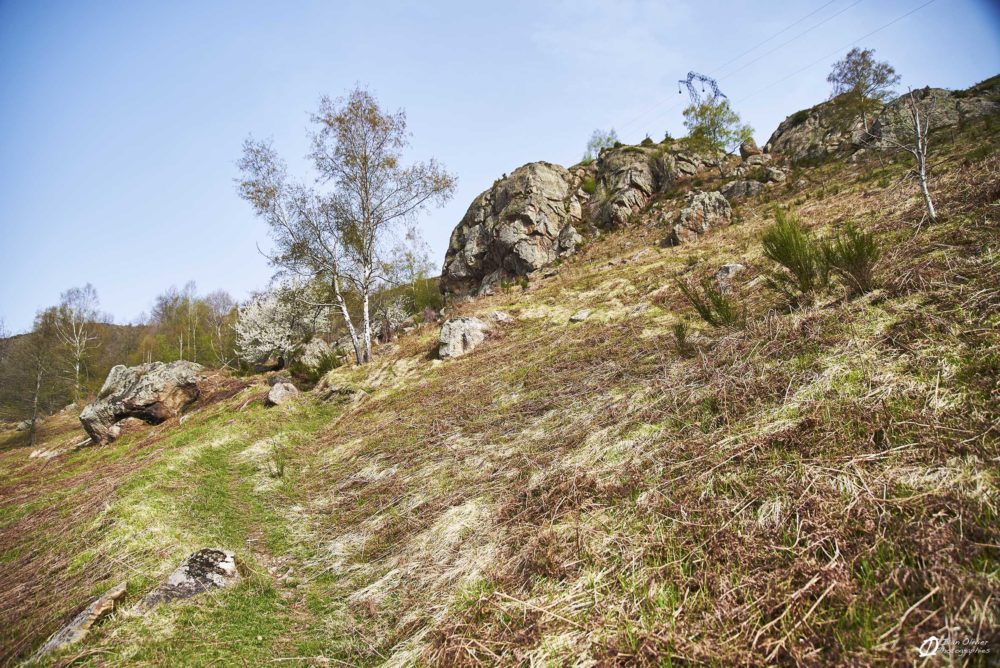 GC - Falaise Appy - Ivan Olivier Photographies© Ariège (28)