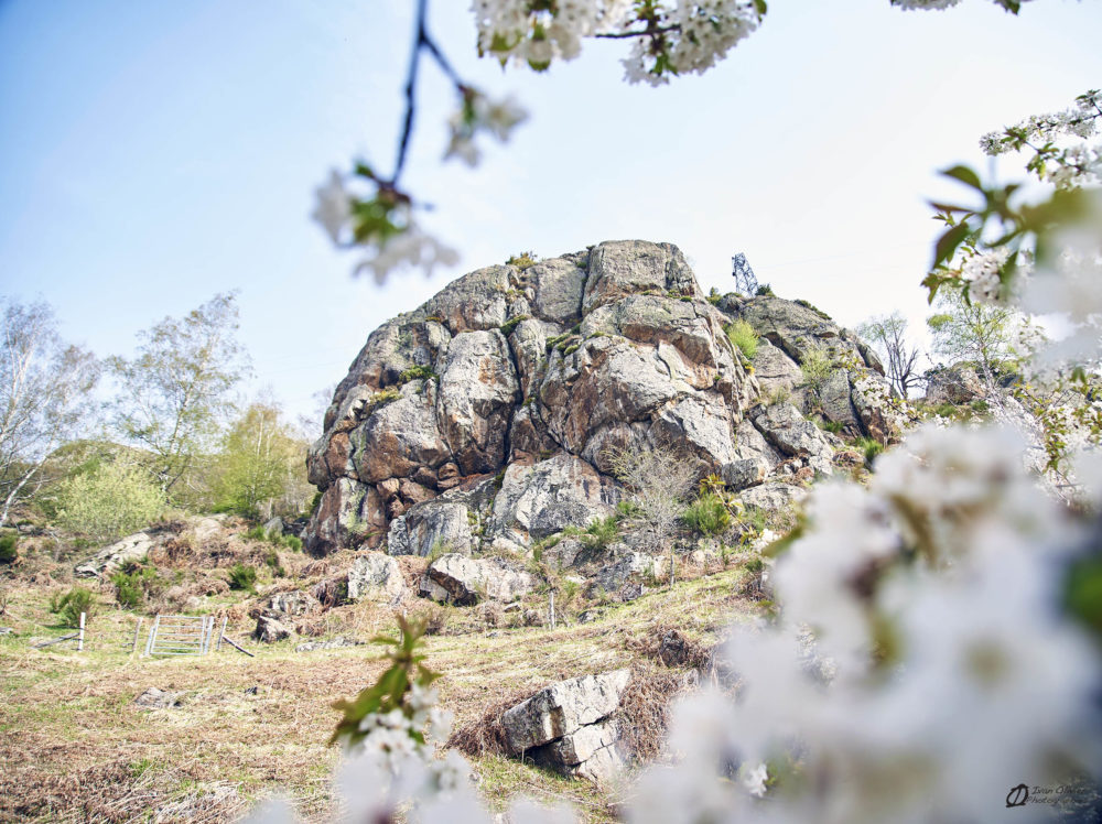 GC - Falaise Appy - Ivan Olivier Photographies© Ariège (29)