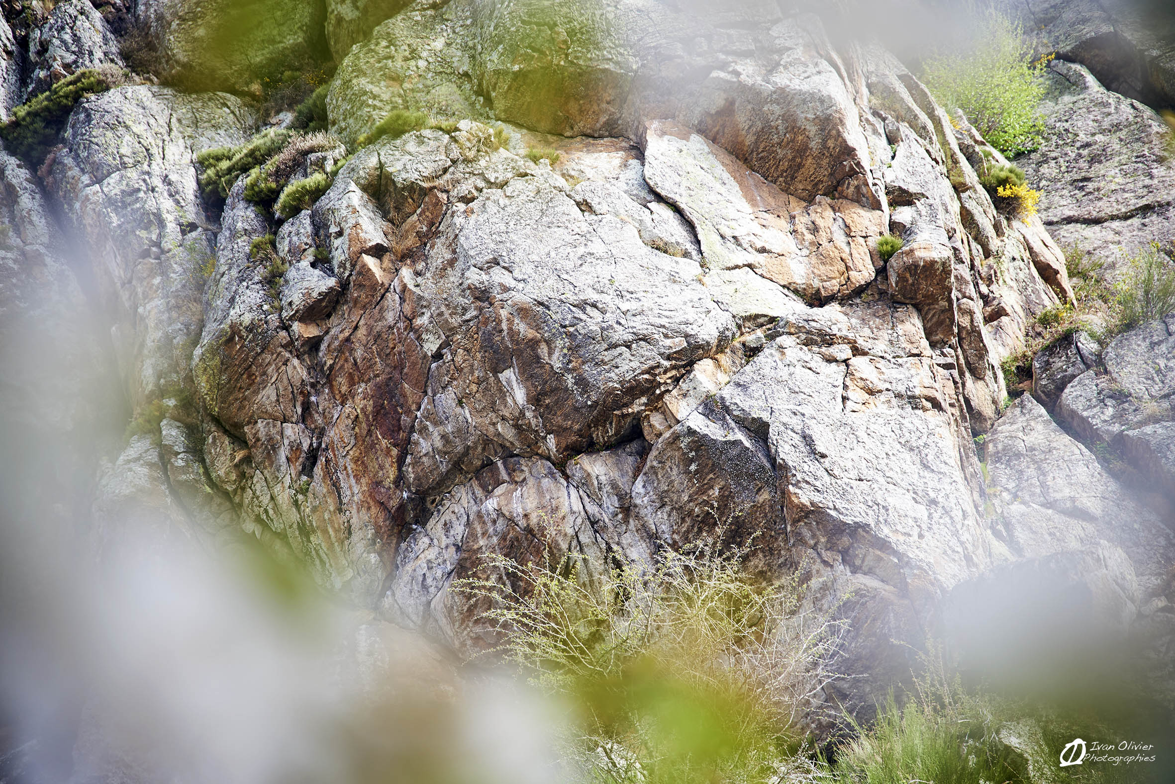 GC - Falaise Appy - Ivan Olivier Photographies© Ariège (30)