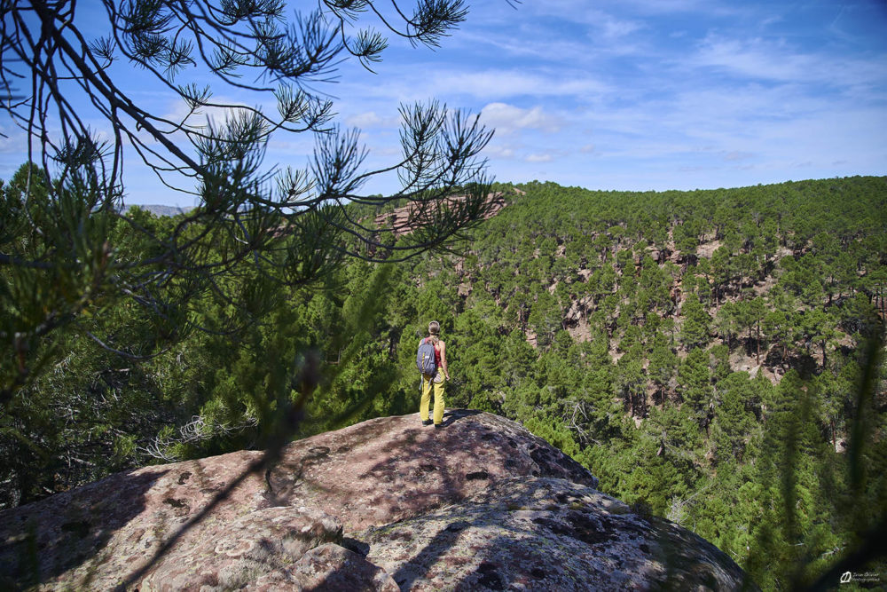 Mélanie en pleine contemplation de la pinède