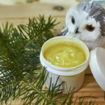 GC - baume respiration aux huiles essentielles - melanie dupuis (16)