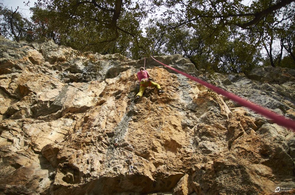 Mélanie dans "Biscuit Agé", 6b, février 2021