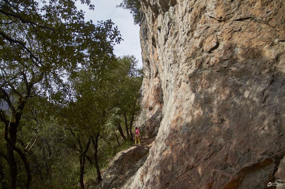 Du soleil, des Chênes verts, seul petit hic...la Nationale est son flot de voiture vers l'Espagne... 