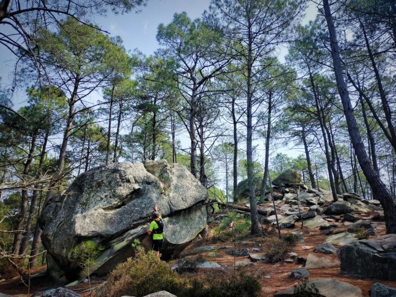 GC - Circuit des 25 bosses - 3 pignons - Fontainbleau Noisy - Trail 17km 900D (15)