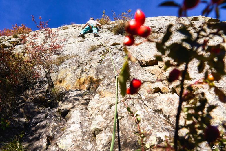 Falaise des Ayes 2022© IVAN OLIVIER PHOTOGRAPHIES - Le Chazelet(14)
