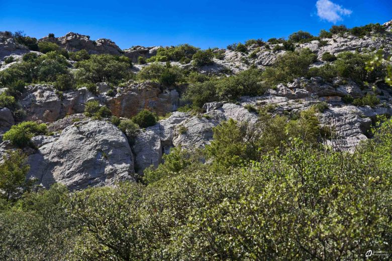 GC- Falaise de Perles, Catalogne, province de Llieda, juillet 2023 © Ivan Olivier Photographie (23)
