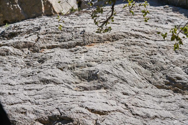 GC- Falaise de Perles, Catalogne, province de Llieda, juillet 2023 © Ivan Olivier Photographie (8)