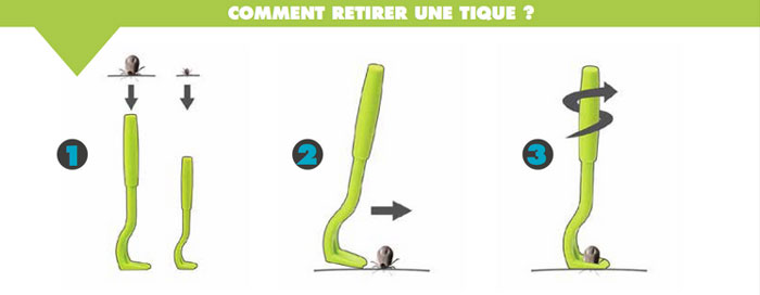 GC - dessin crochet à tiques - tique lyme